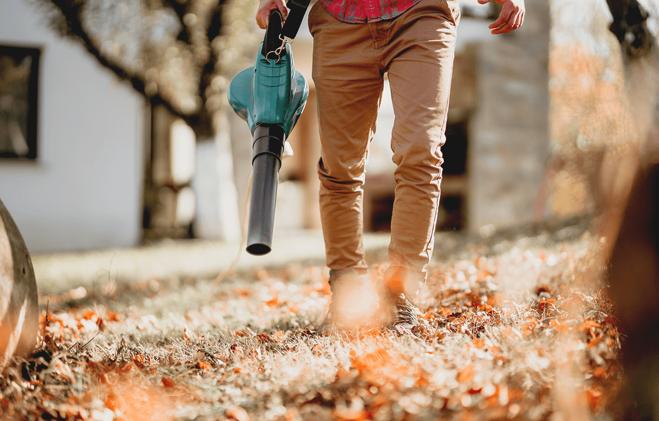 Gutter Cleaning Adelaide, SA Vacuum Gutter Cleaners & Services